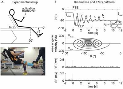 Neuromechanical Assessment of Activated vs. Resting Leg Rigidity Using the Pendulum Test Is Associated With a Fall History in People With Parkinson’s Disease